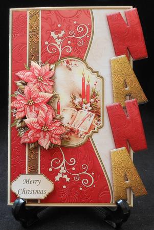 Poinsettia & Candles Over the Side Nana by Michelle Chivers