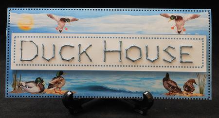 Duck House Prick and Stitch Dl by Michelle Chivers
