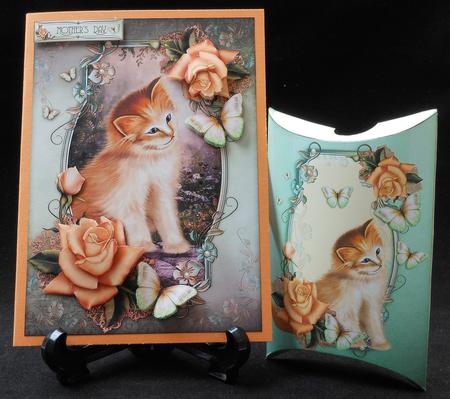 The Curious Kitten by Michelle Chivers