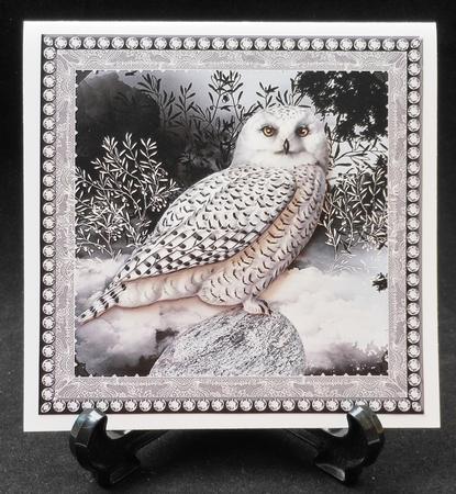 Night Owl Topper by Michelle Chivers
