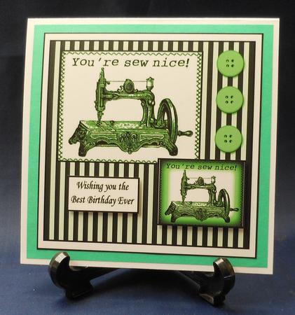 You're Sew Nice Green by Michelle Chivers
