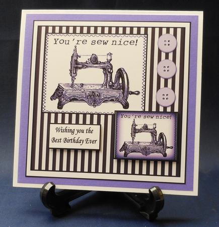 You're Sew Nice Purple by Michelle Chivers