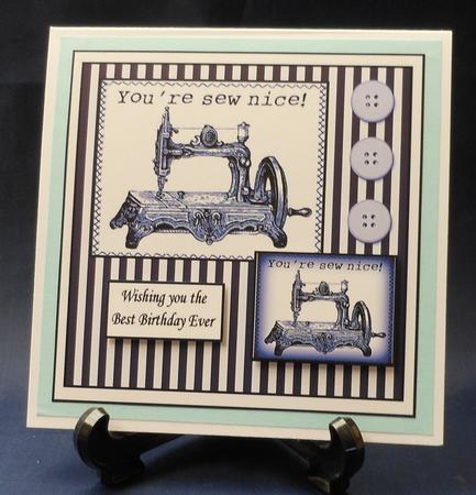 You're Sew Nice Royal by Michelle Chivers