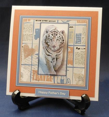 See the World - White Tiger by Michelle Chivers