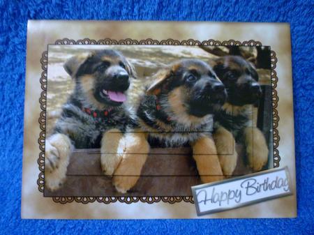 Gold Greetings Sheet by Michelle Chivers