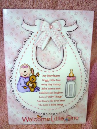 Baby Girl Bib Verse by Michelle Chivers