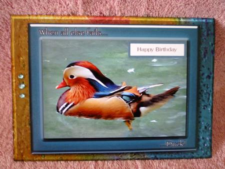 When All Else Fails - duck!, Page 1 by Michelle Chivers