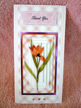 Pretty Deep Pink Floral Dl Card Kit by Michelle Chivers