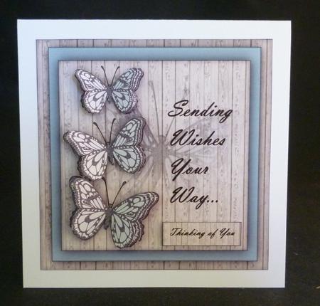 Butterfly Wishes -  by Michelle Chivers