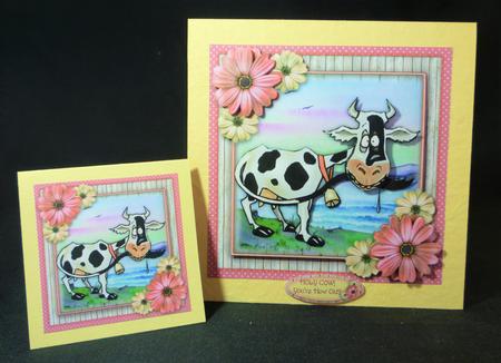 Holy Cow - you're How Old? by Michelle Chivers