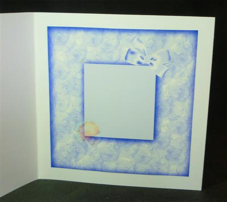 Roses Baby Blue Insert by Michelle Chivers