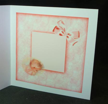 Pink Roses Baby Insert by Michelle Chivers