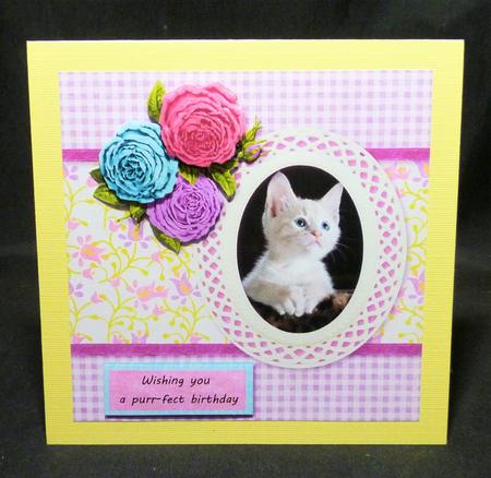 Kitten Cat Birthday, Retirement, Thank You, Get Well by Michelle Chivers