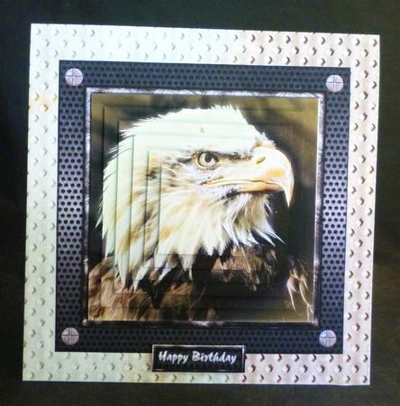 Eagle by Michelle Chivers