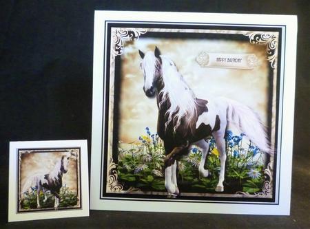 Serendipity Card Front Kit by Michelle Chivers