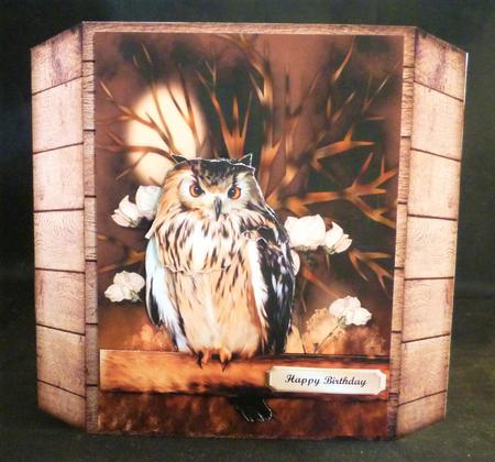 Male Card Wise Owl Mini Kit by Michelle Chivers