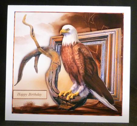 Natures Wild Eagle Framed Mini Kit by Michelle Chivers