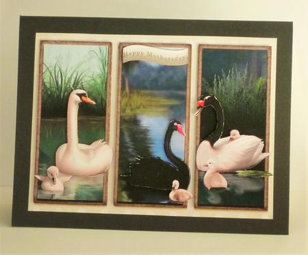 Beautiful Swan Card 859 by Michelle Chivers