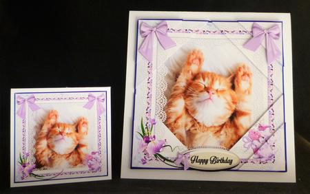 Lazy Kitty Mini Kit by Michelle Chivers