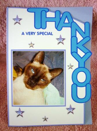 Siamese Cat Thankyou Card by Michelle Chivers