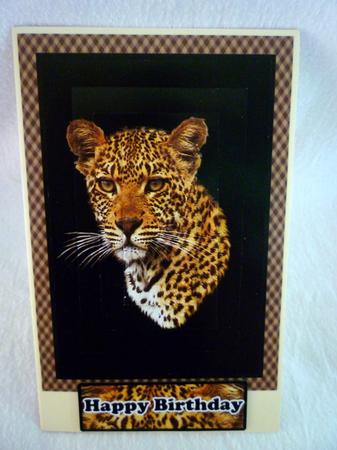 Jungle Mate Happy Birthday with Sympathy Get Well Soon by Michelle Chivers
