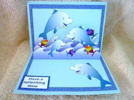 Dolphin Pop-up Kit by Michelle Chivers