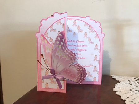 Butterfly Fold Back baby Girl by Michelle Jenkins