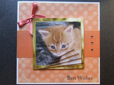 Ginger Kitten Twisted Pyramid by Michelle Lancaster