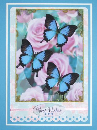 Butterfly Magic Happy Birthday Best Wishes by Michelle Lancaster