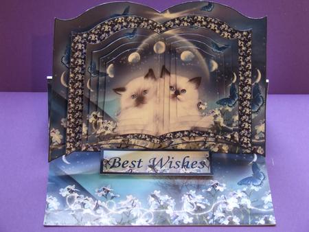 Moonlight Kittens Open Book Easel Card Kit by Michelle Lancaster