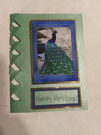 Peacocks Tags / Mini-cards by Michelle Peters