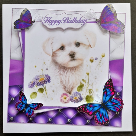 Beautiful Butterflies Clip Art Designer Resources by Michelle Young