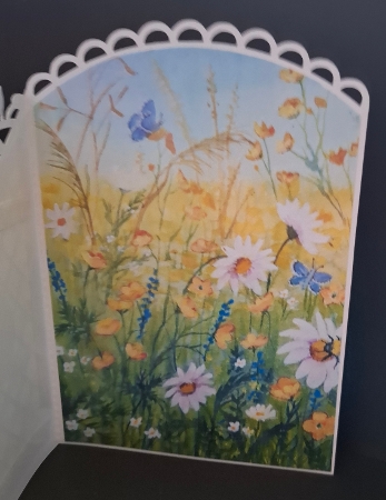 Curved Lattice Butterfly Card by Michelle Young