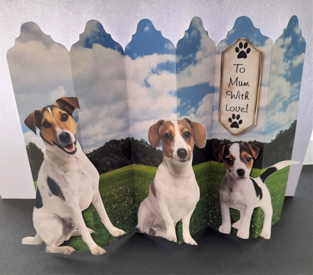 Jack Russell Dogs - Concertina Card Kit With Greetings Tags Decoupage & Matching Envelope by Michelle Young
