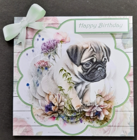 Succulant Bows 9 by Michelle Young