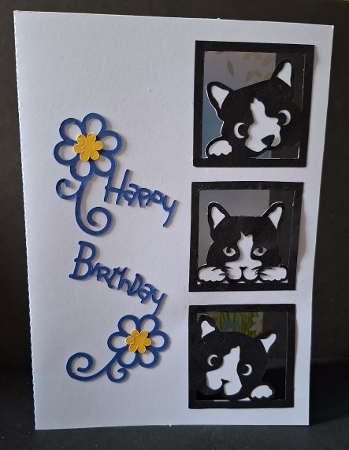 Three Cats Aperture Card by Michelle Young