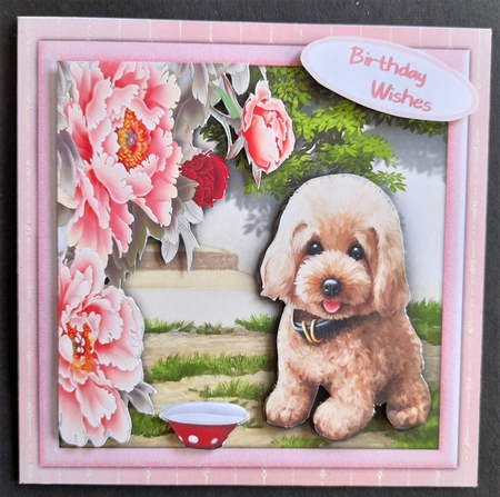 Puppy In The Garden by Michelle Young