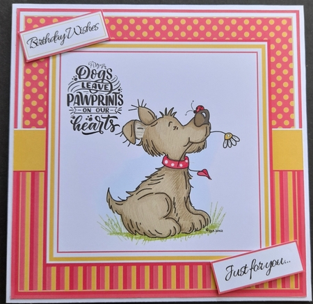 7x7 Dogs Leave Paw prints on your heart card Front with sentiments  by Michelle Young