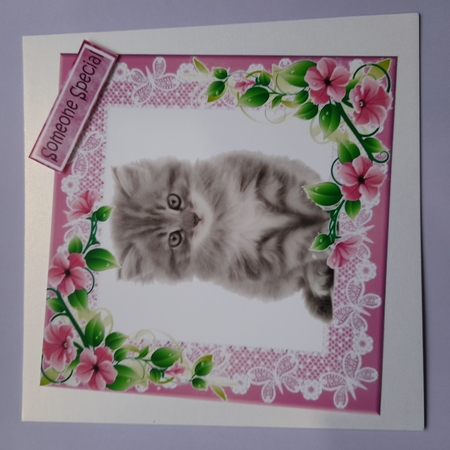 Pink lace frame with flowers and a kitten 7x7 by Michelle Young