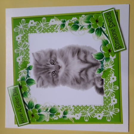 Green lace frame with flowers and a kitten 7x7 by Michelle Young