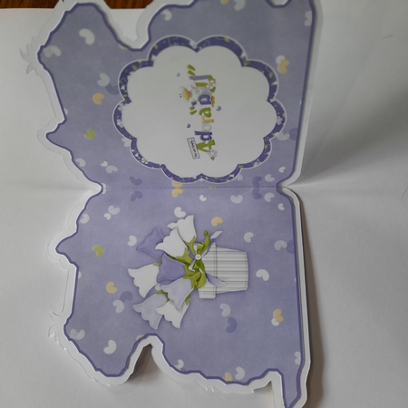 Quackers For You Shaped 3D Decoupage Card & Envelope by Michelle Young