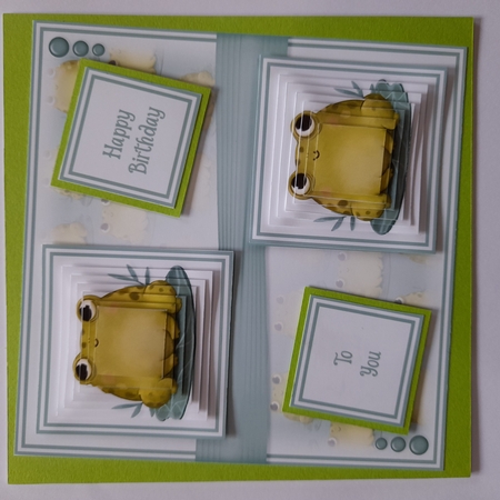 Frog Mini Kit by Michelle Young