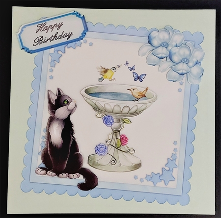 Birdies Bath Time - 6x6 inch card front with decoupage by Michelle Young