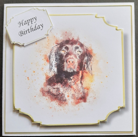 Simple Dog 10 by Michelle Young