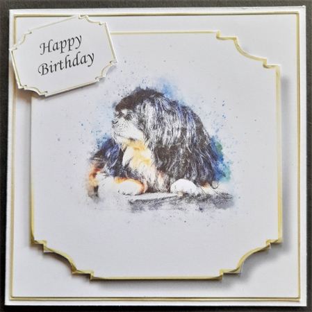 Simple Dog 11 by Michelle Young