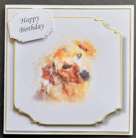 Simple Dog 12 by Michelle Young
