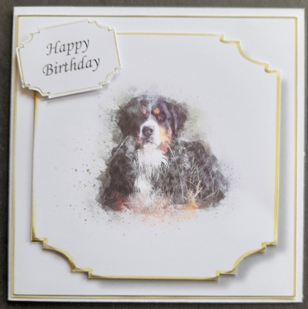 Simple Dog 13 by Michelle Young
