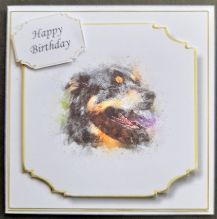 Simple Dog 14 by Michelle Young