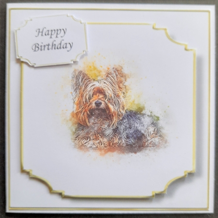 Simple Dog 15 by Michelle Young