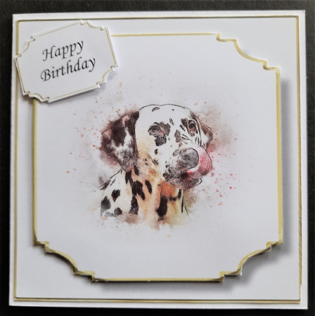Simple Dog 16 by Michelle Young